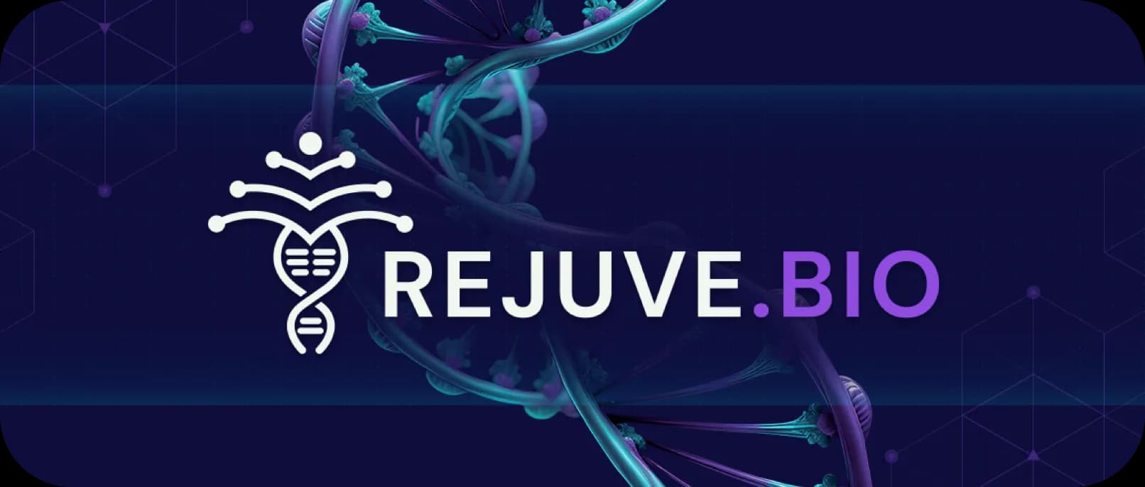 Rejuve.Bio project cover